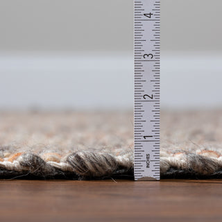 Dalyn Bondi Accent Rug