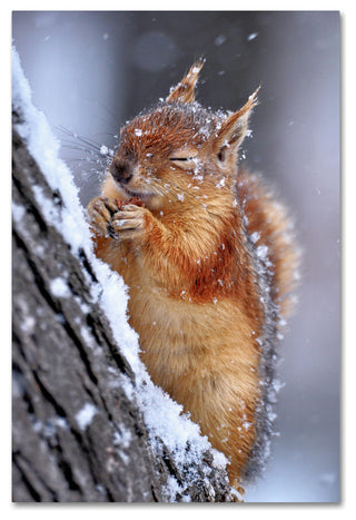 Ervin Kobakci 'Winter' Canvas Art, 19 x 12