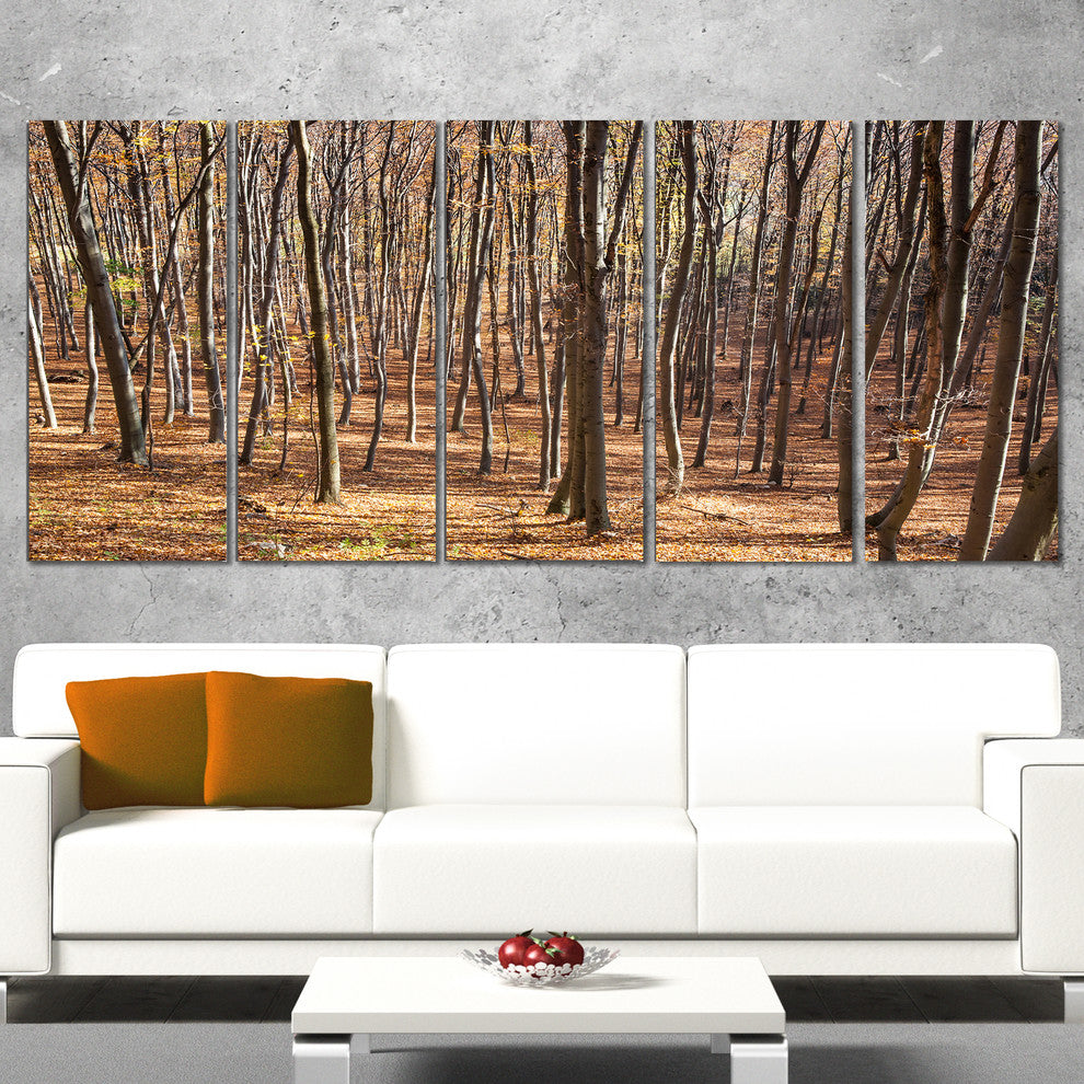 Thick Carpathian Deciduous Forest, Forest Canvas Art Print, 60"x28", 5 Panels