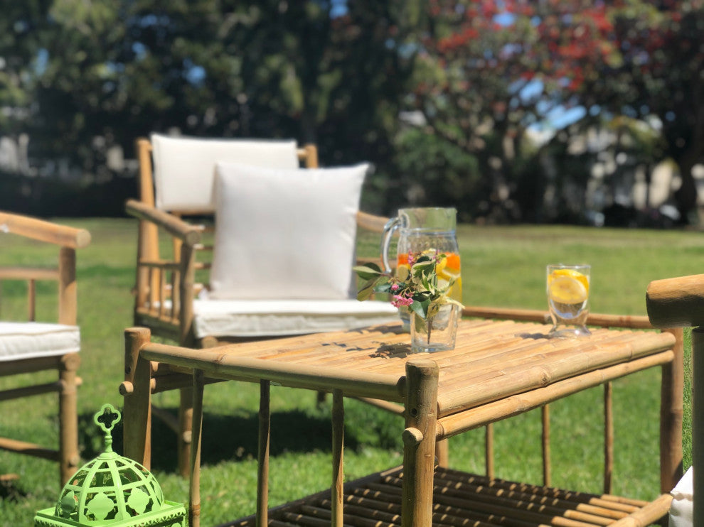 Bamboo Accent Sofa Set