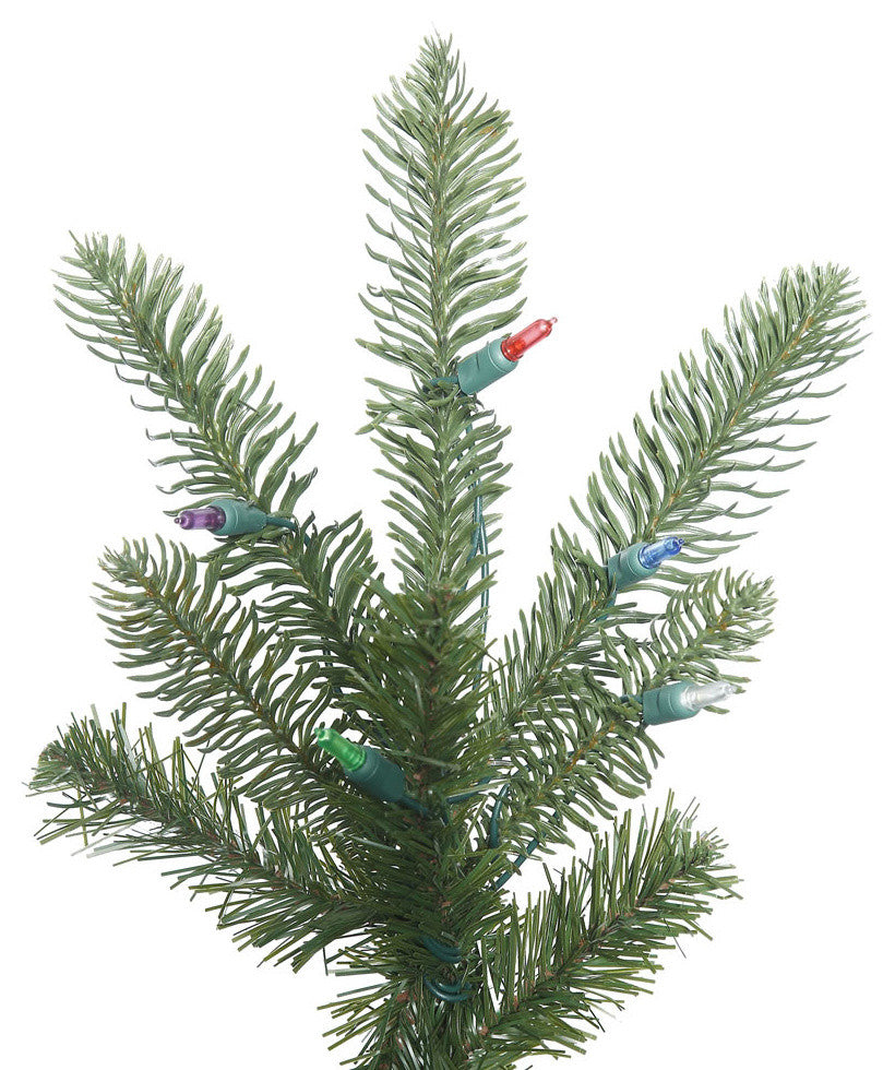 Alberta Spruce Christmas Tree, 3110 Tips, 12'x80"