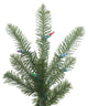 Alberta Spruce Christmas Tree, 3110 Tips, 12'x80"