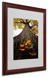 'Mighty Maple and Sapling' Matted Framed Canvas Art by Kurt Shaffer