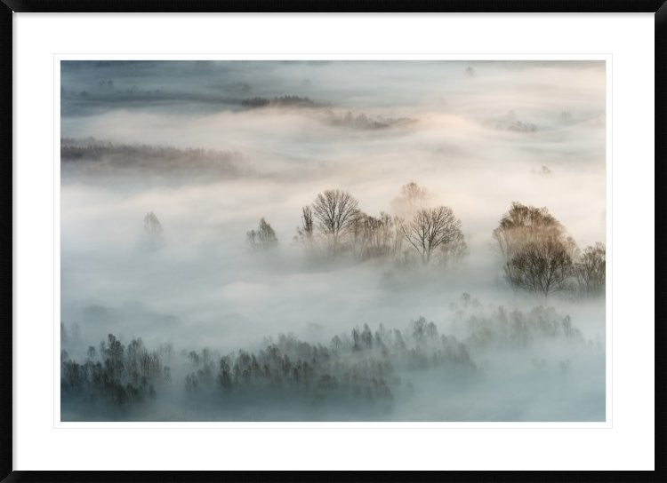 "Winter Fog" Framed Digital Print by Marco Galimberti, 44x32"