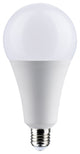 30W, LED, A25, 5000K, Medium Base, Non Dimmable, 120V