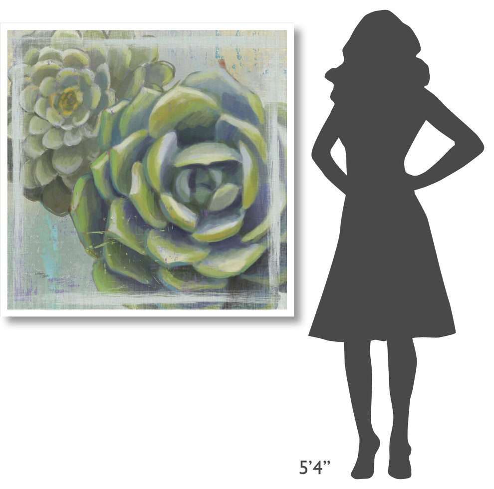 "Succulents II" Digital Paper Print by Wellington Studio, 42"x42"