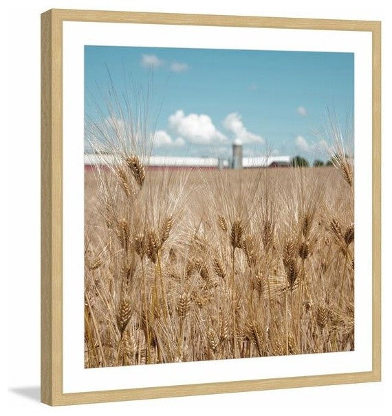 "Waves of Grain" Framed Painting Print, 24"x24"