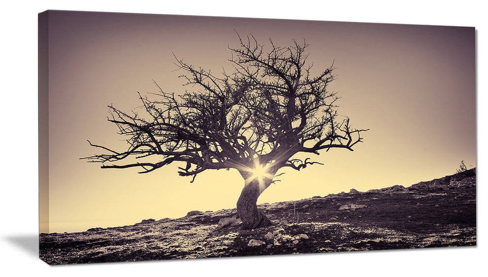 "Lonely Grey Tree in Mountain" Wall Art Landscape, 40"x20"