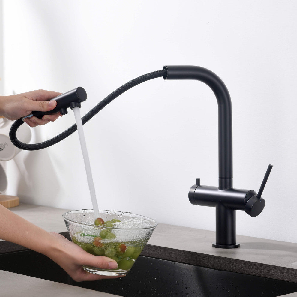 Circular 2-in-1 Water Filter Kitchen Pull Out Faucet, Matte Black
