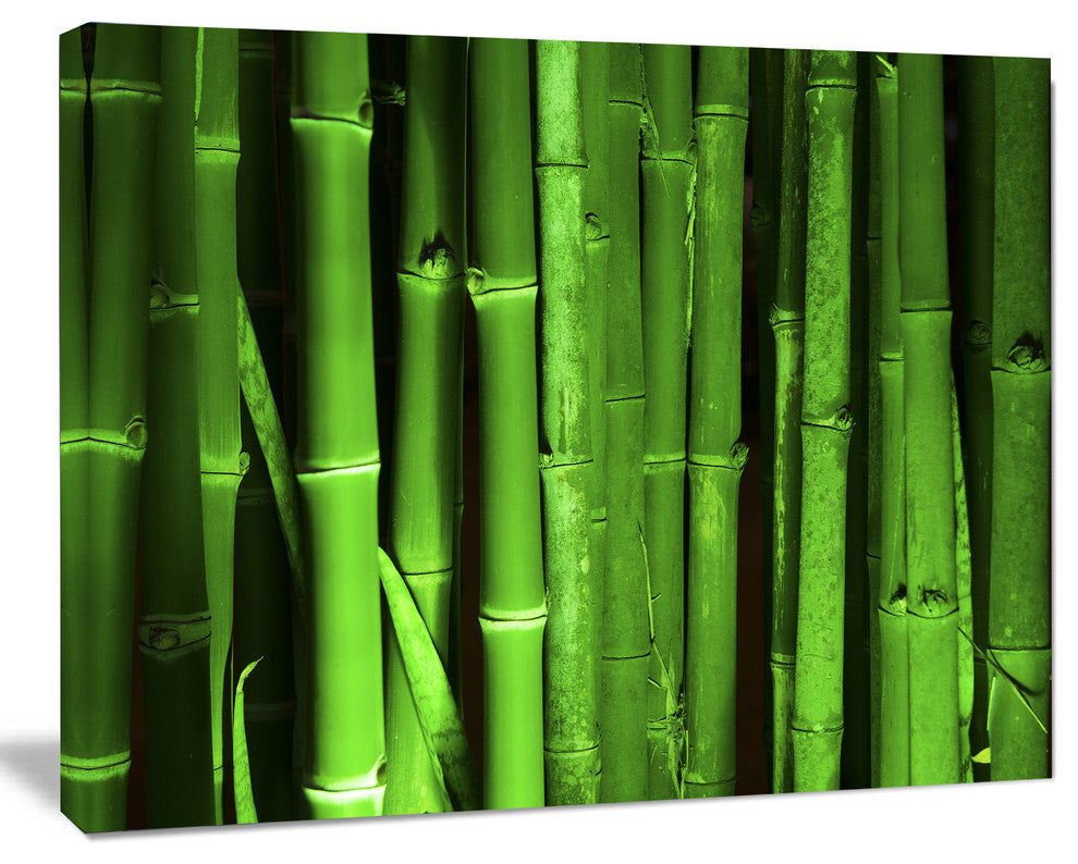 Green Bamboo Forest, Floral Canvas Art Print, 20"x12"