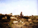 Cornelis Van Leemputten Shepherd Boys With Their Flock Wall Decal