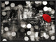 "A Kiss in the Night (BW)" Framed Canvas Giclee by Dianne Loumer, 17x13"