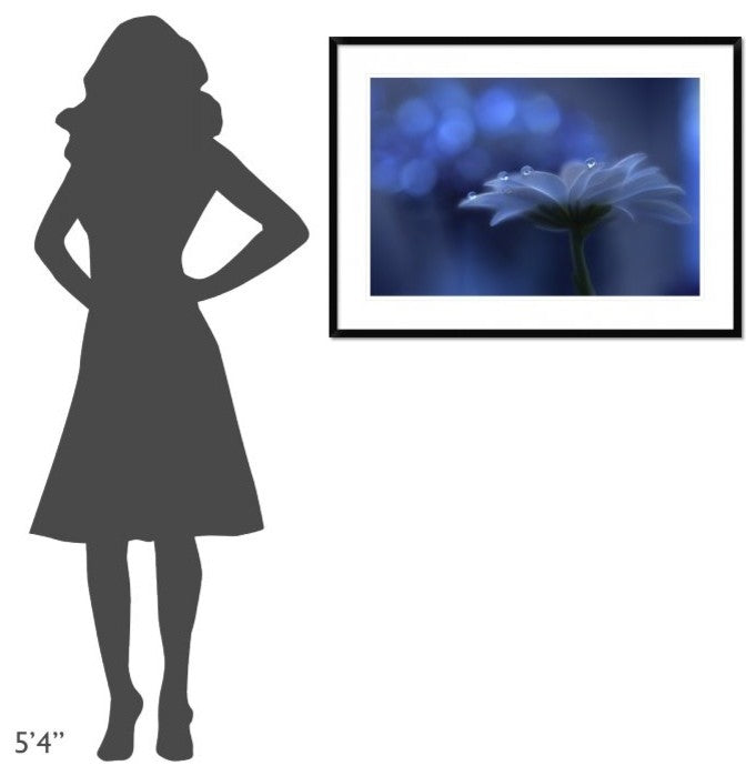 "Space Dreams" Framed Digital Print by Juliana Nan, 38"x28"
