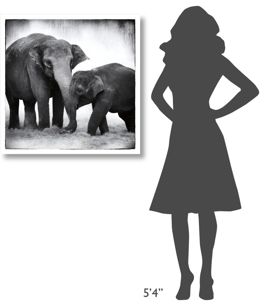 "Elephant III" Digital Paper Print by Debra Van Swearingen, 32"x32"