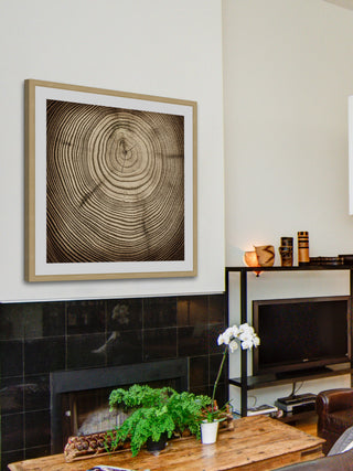 "Rings of Age" Framed Art Print
