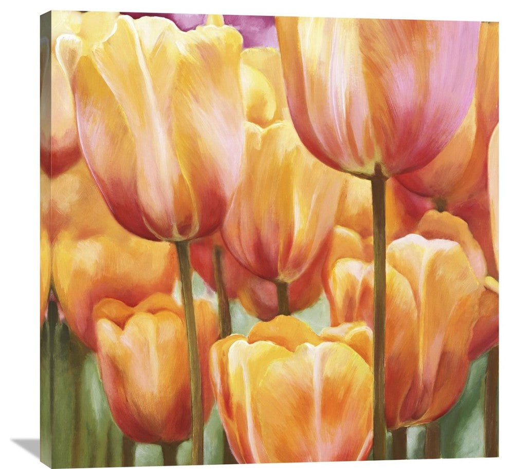 Spring Tulips II, 36"x36"