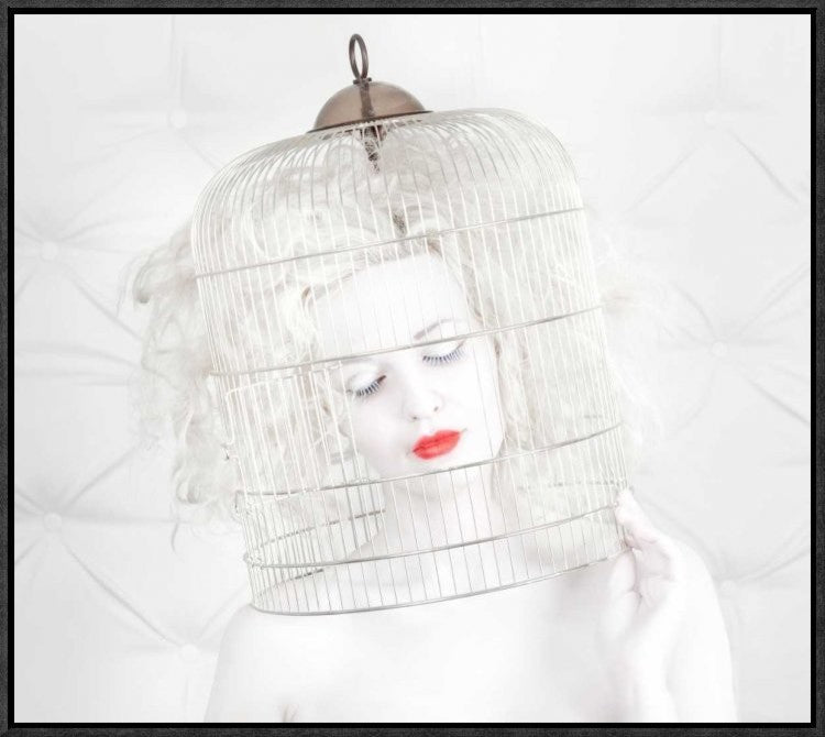 "Birdcage Love" Framed Canvas Giclee by John Andre Aasen, 23x20"