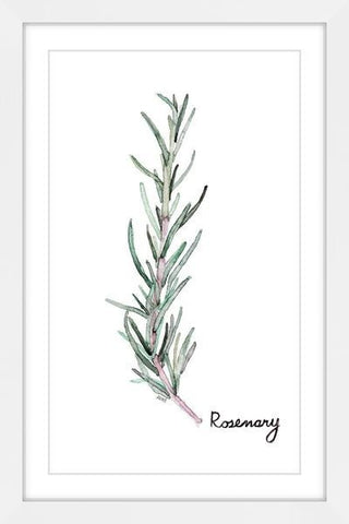 "Herb Rosemary" Framed Painting Print, 20"x30"