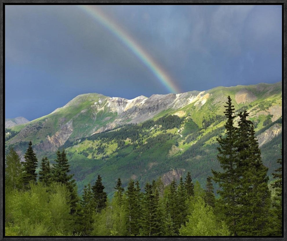 "Rainbow over Brown Mountain, Colorado"  by Tim Fitzharris, 23x19"