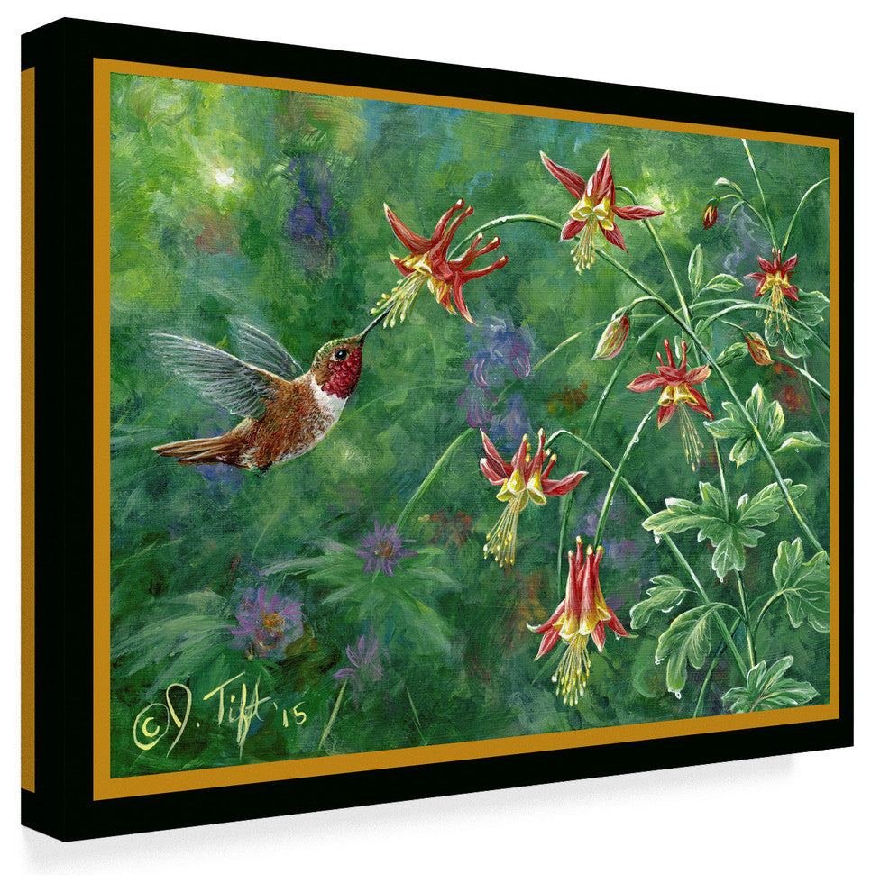 Jeff Tift 'Rufous Hummingbird' Canvas Art, 32"x24"