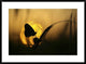 "August" Framed Digital Print by Janini (Zhana Topchieva), 38"x28"