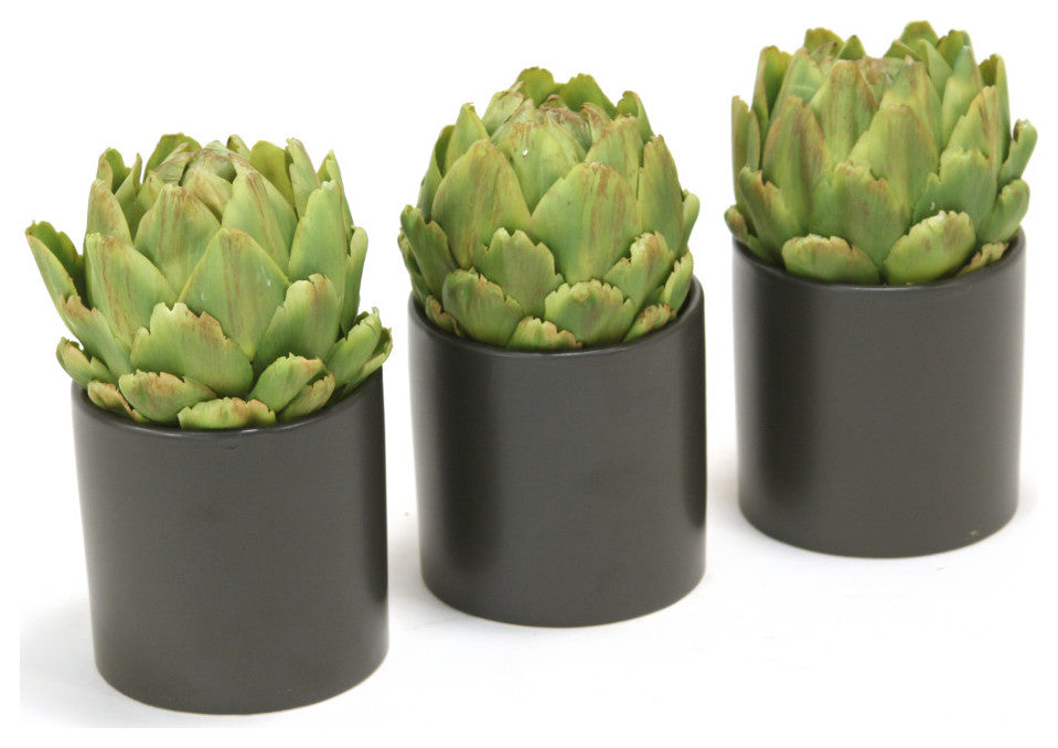 Green Artichokes in Black Circle Pot (Set of 3)