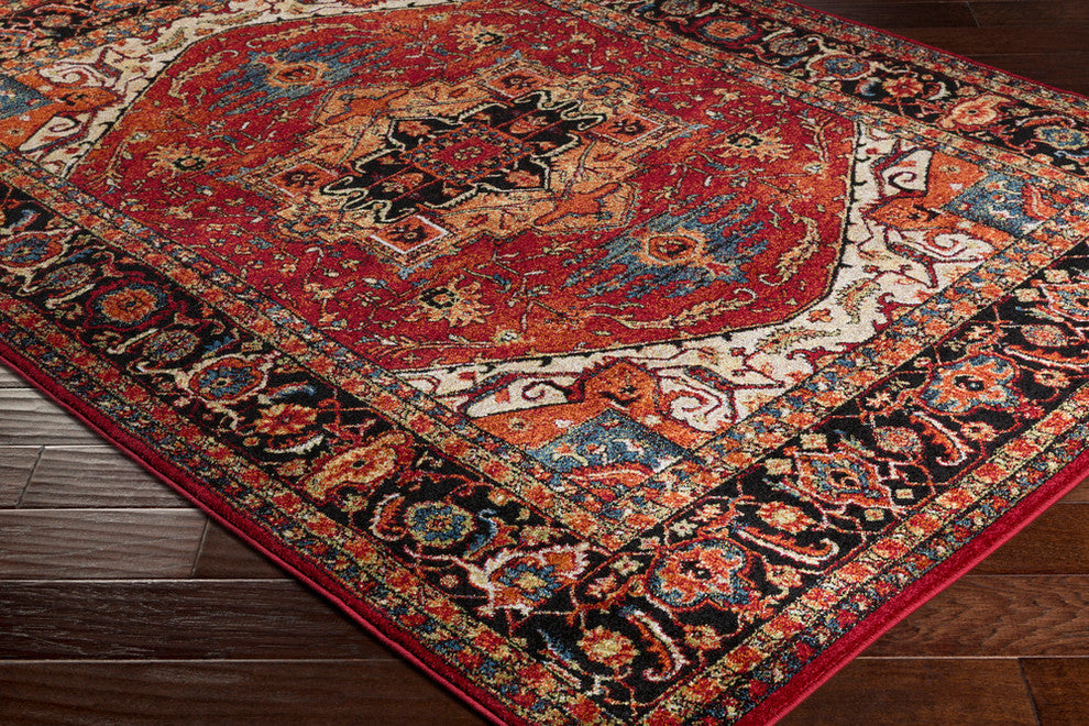 Serapi Traditional Dark Red, Black Area Rug, 2'7"x7'3"