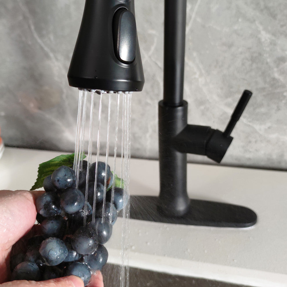 Matte Black Stainless Steel Single Handle Pull Out Kitchen Sink Faucet