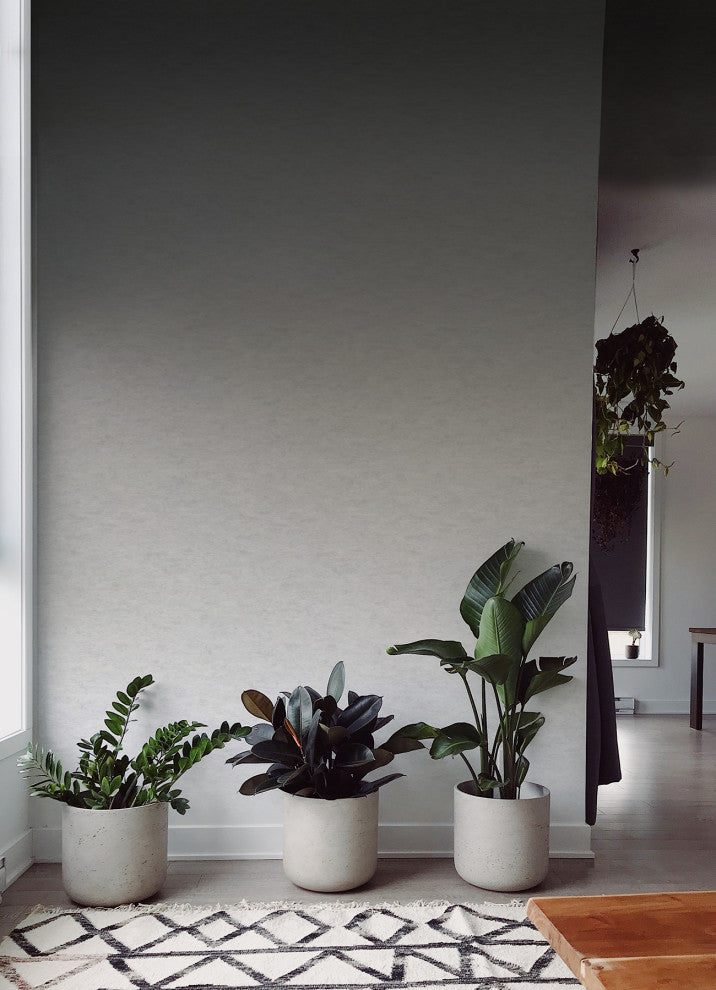 Charcoal Aura Ombre Peel & Stick Wallpaper Mural