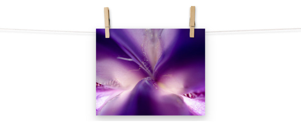 Iris Center Petals Nature Photography, Floral Unframed Wall Art Print, 8" X 10"