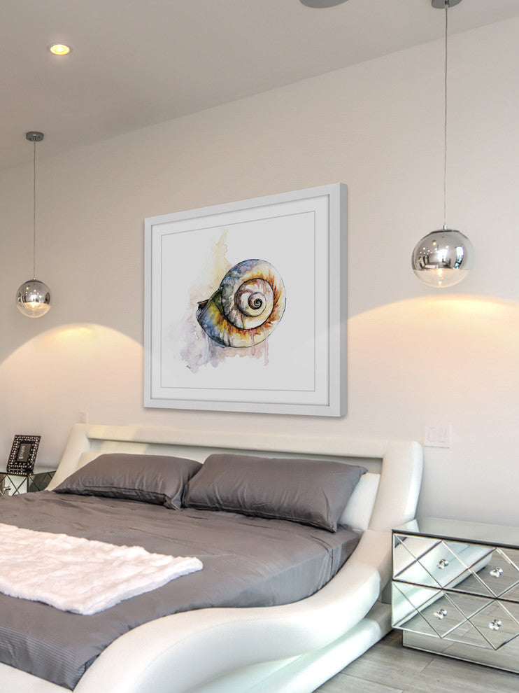 "Snail Shell" Framed Print by Rachel Byler