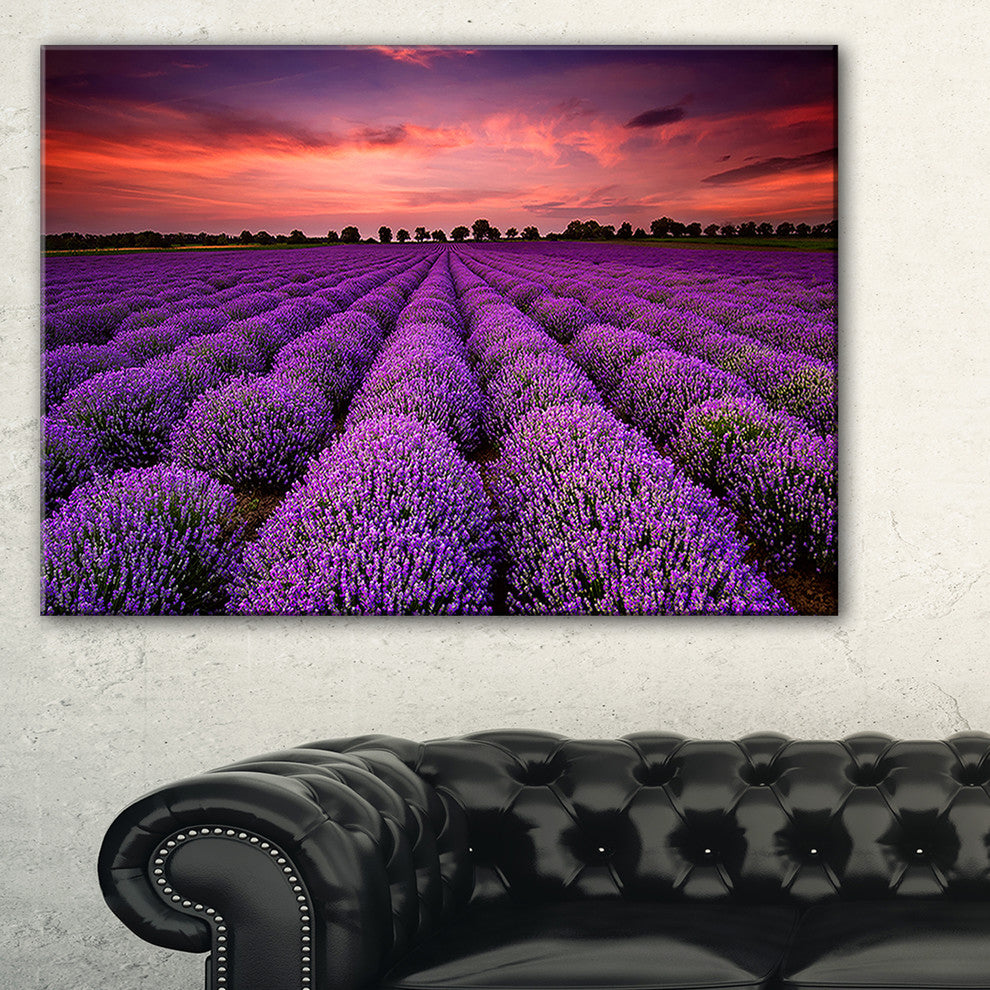 "Red Sunset Over Lavender Field" Wall Art Landscape, 32"x16"