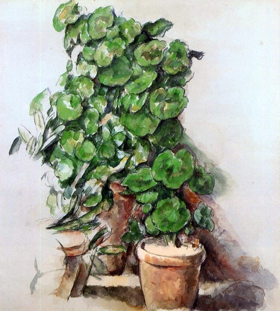 Paul Cezanne Pots of Geraniums, 20"x25" Wall Decal Print