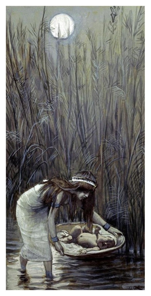"Moses Laid Amid the Flags" Digital Paper Print by James Tissot, 22"x42"