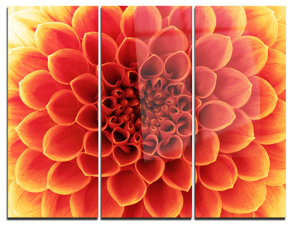 "Brown Flower With Dense Petals" Photo Metal Wall Art, 3 Panels, 36"x28"