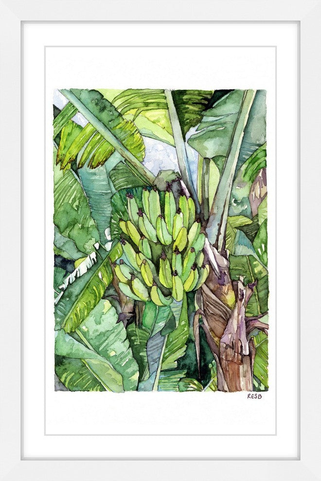 "Banana Tree" Framed Print by Rachel Byler