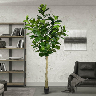 Lifestyle scene showing the plant in a real room.