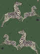 Serengeti Green Zebra Safari Scalamandre Self Adhesive Wallpaper, Green, Bolt