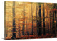 "Meet me in the Morning" Wrapped Canvas Art Print, 24"x16"x1.5"