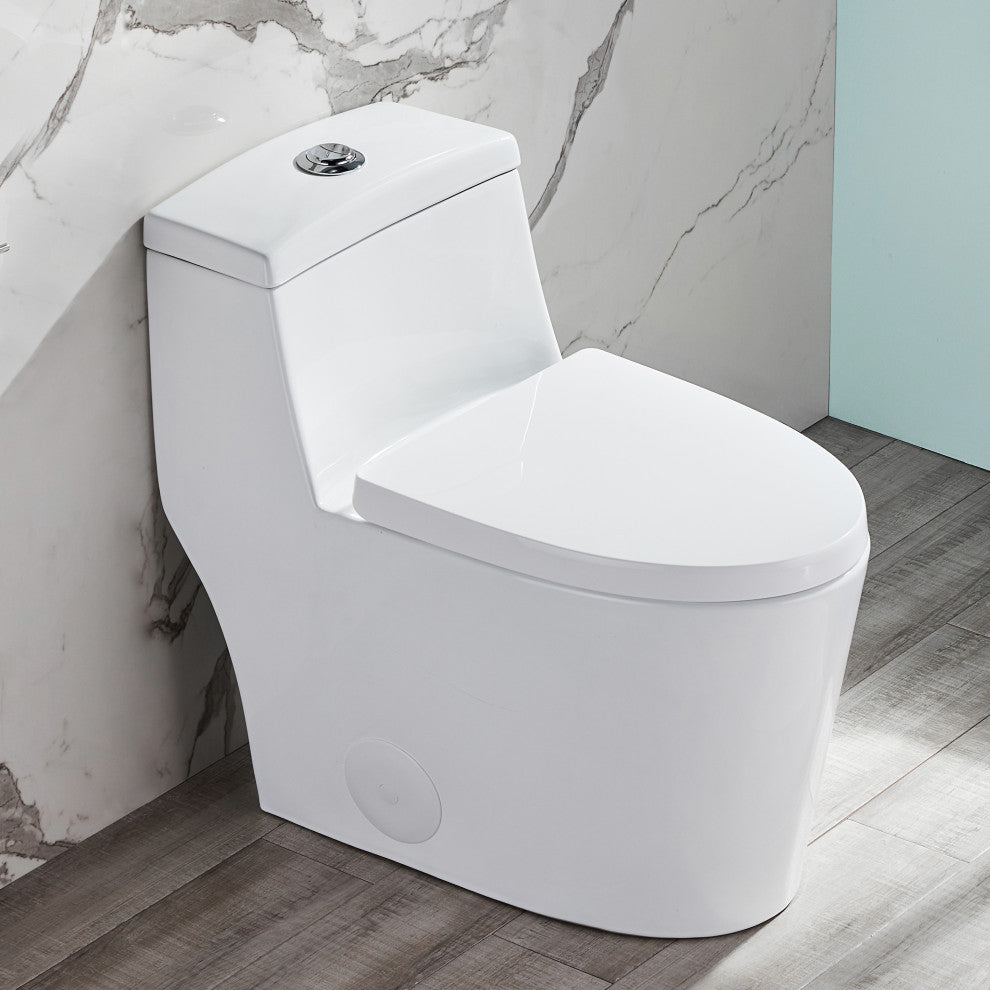 Dual Flush Elongated One Piece Toilet With Glazed Surface, Seat Included
