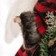 12"H Plaid Angel Tree Top