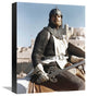 "Charlton Heston - El Cid" Canvas by Hollywood Photo Archive, 13x16"