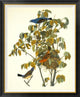 "Blue Grosbeak" Framed Canvas Giclee by John James Audubon, 34x41"