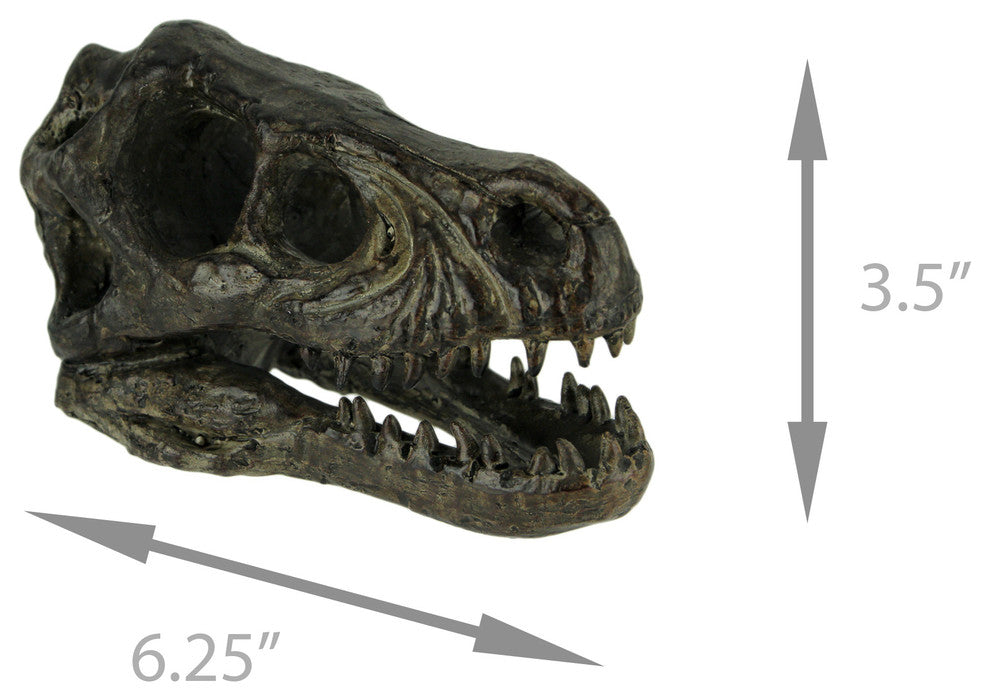 Velociraptor Dinosaur Head Fossil Statue Small