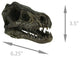 Velociraptor Dinosaur Head Fossil Statue Small