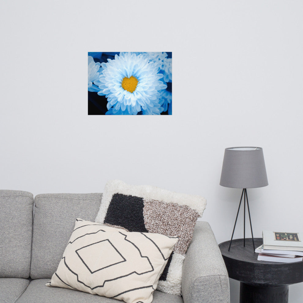 Blue Tinted Chrysanthemums Floral Nature Photo Loose Wall Art Print, 18" X 24"