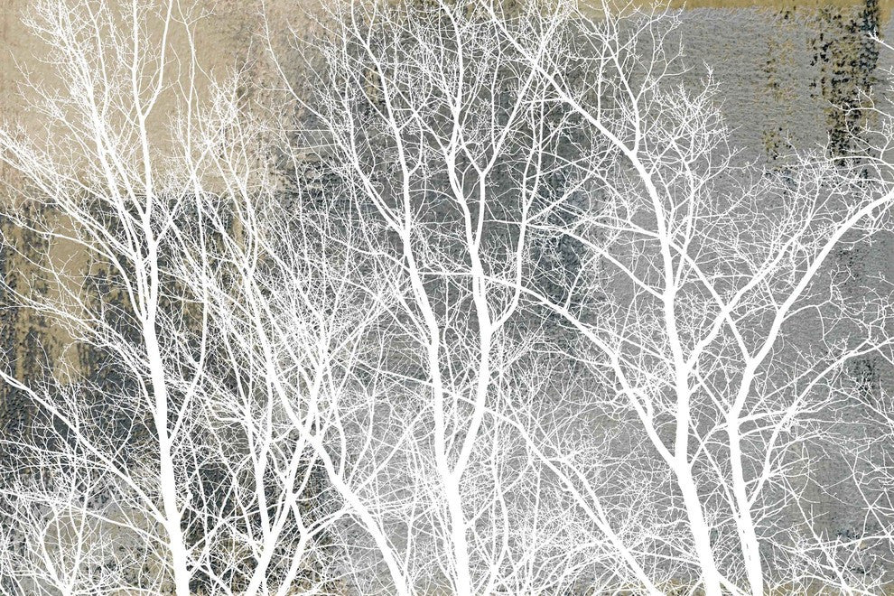 "Frosty White Branches" Painting Print on Wrapped Canvas, 30"x20"
