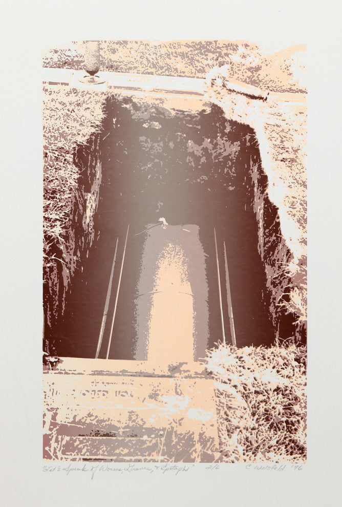 Cindy Wolsfeld "Let's Speak Of Worms, Graves, And Epitaphs" Silkscreen