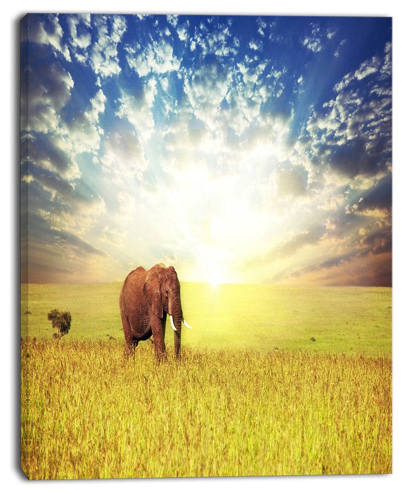 Savannah Elephant in Grassland, Extra Large African Canvas Art Print, 30"x40"