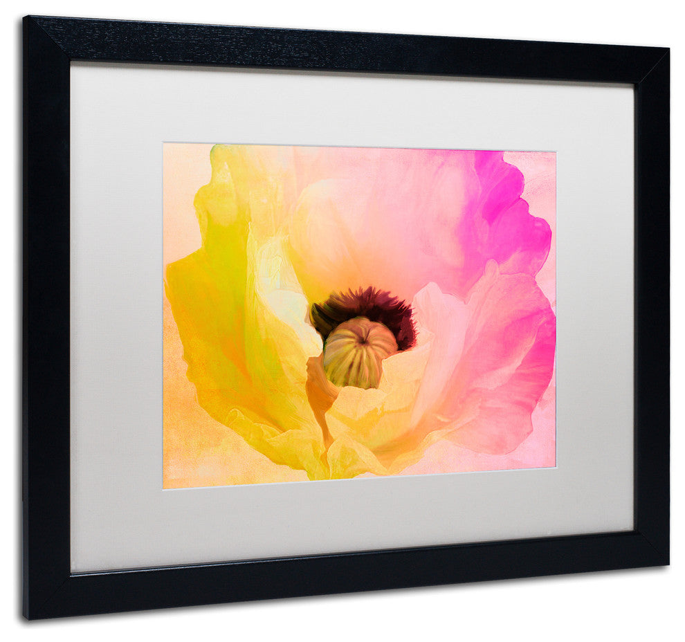 Color Bakery 'Poppy Gradient II' Art, Black Frame, White Matte, 20"x16"